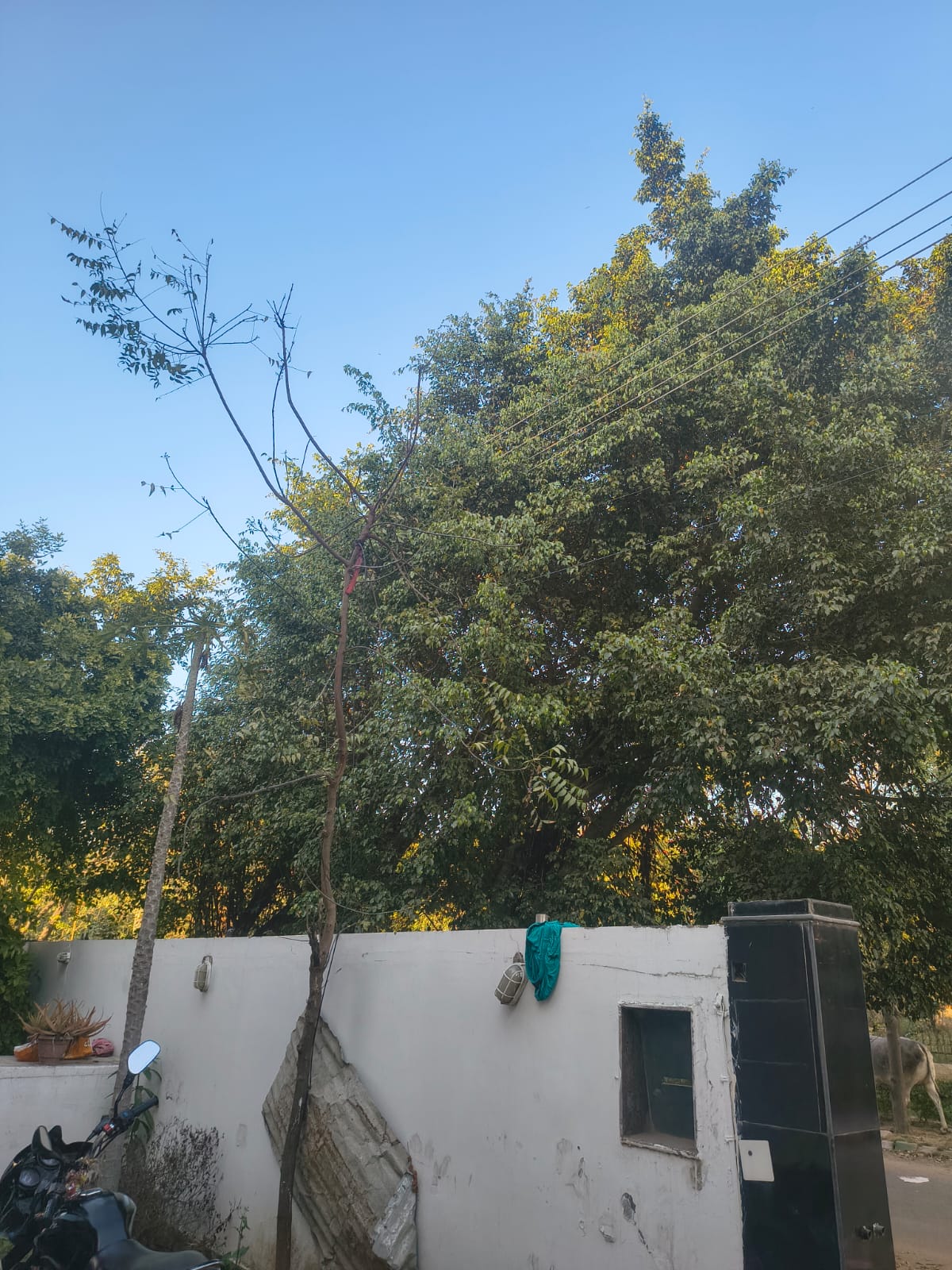 Boys pg in imt manesar